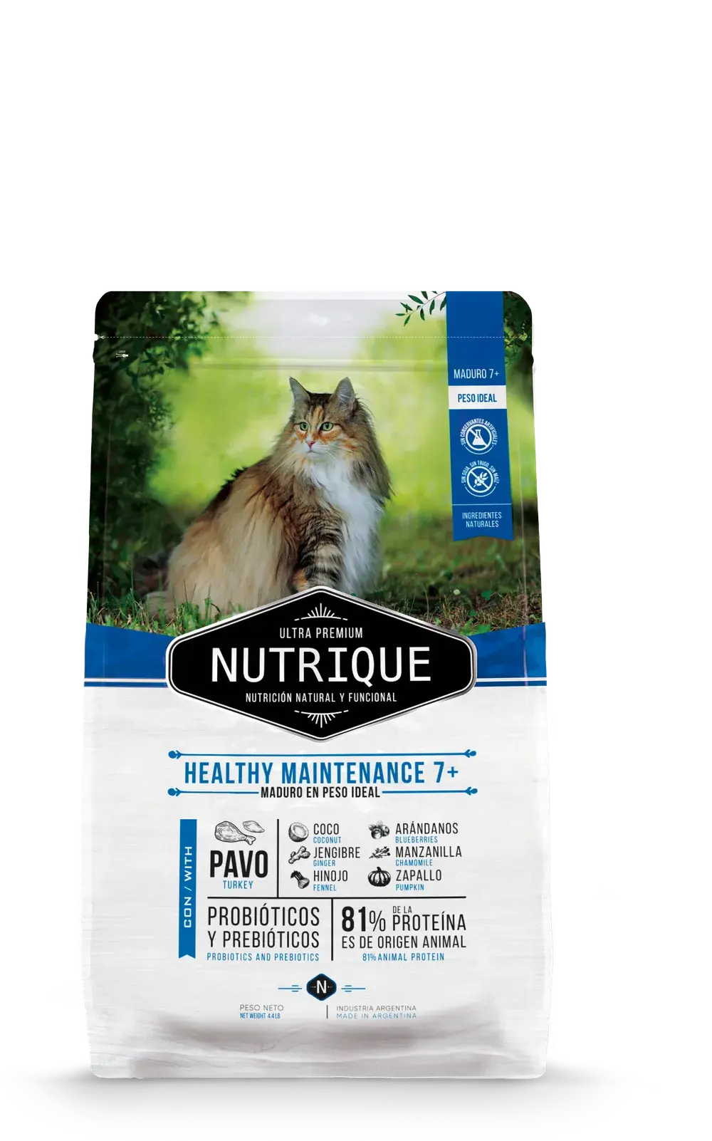 Nutrique Gato Healthy Maintenance 7, vista 1
