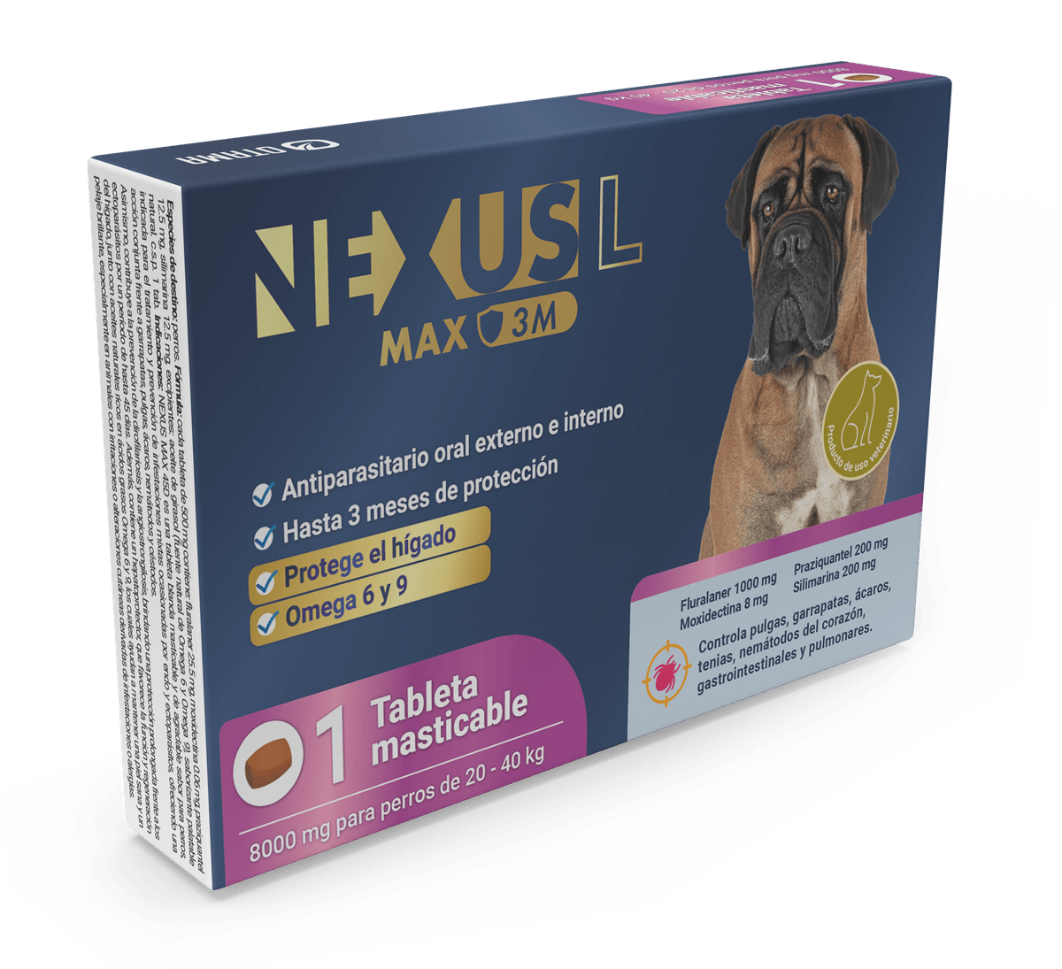 Nexus L