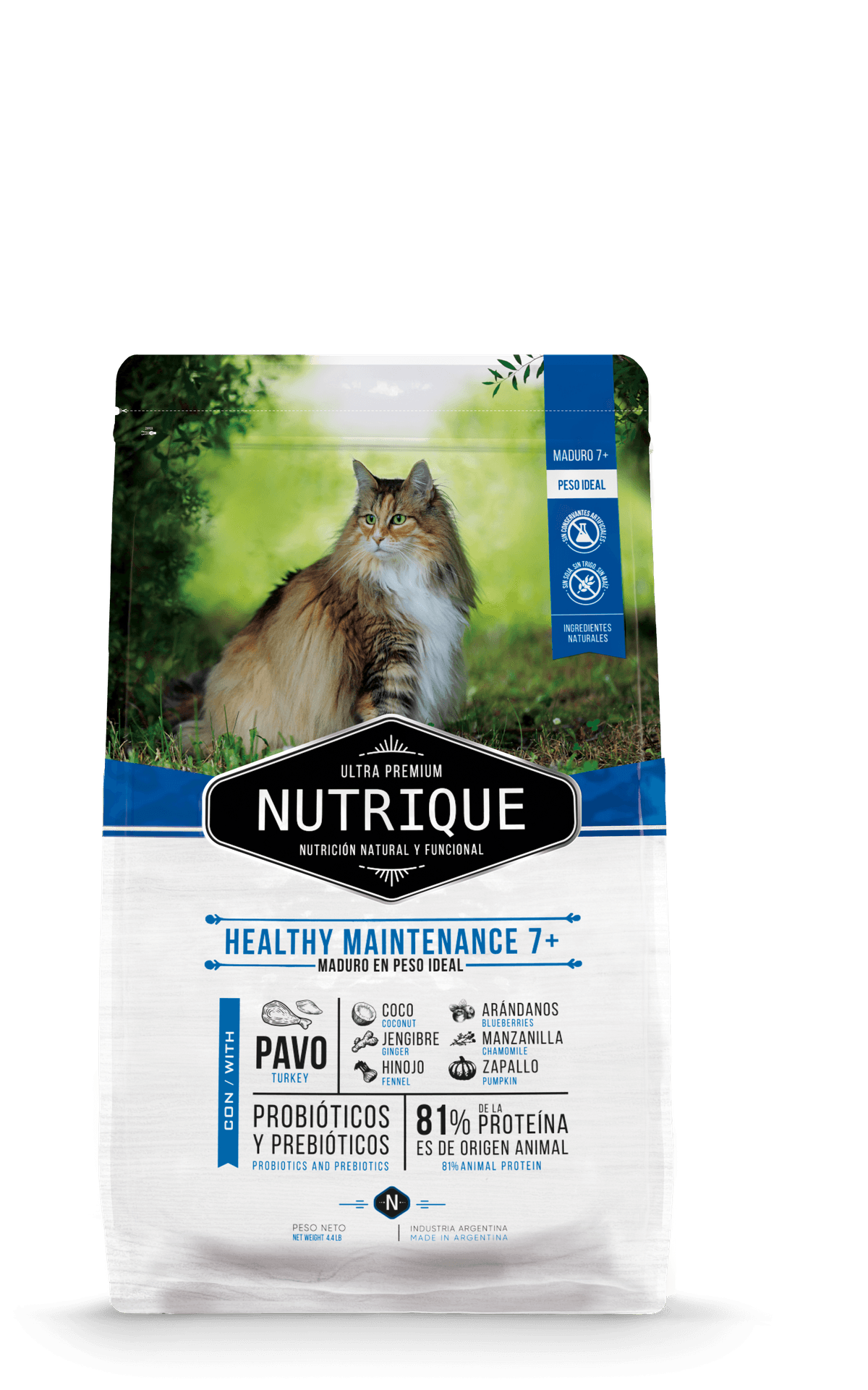 Nutrique Gato Healthy Maintenance 7